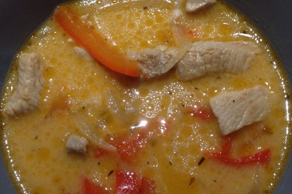 Pikante Gyrossuppe