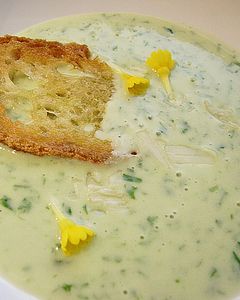 Bärlauchsüppchen mit Macadamianüssen, Brot Chips und Primelblüten