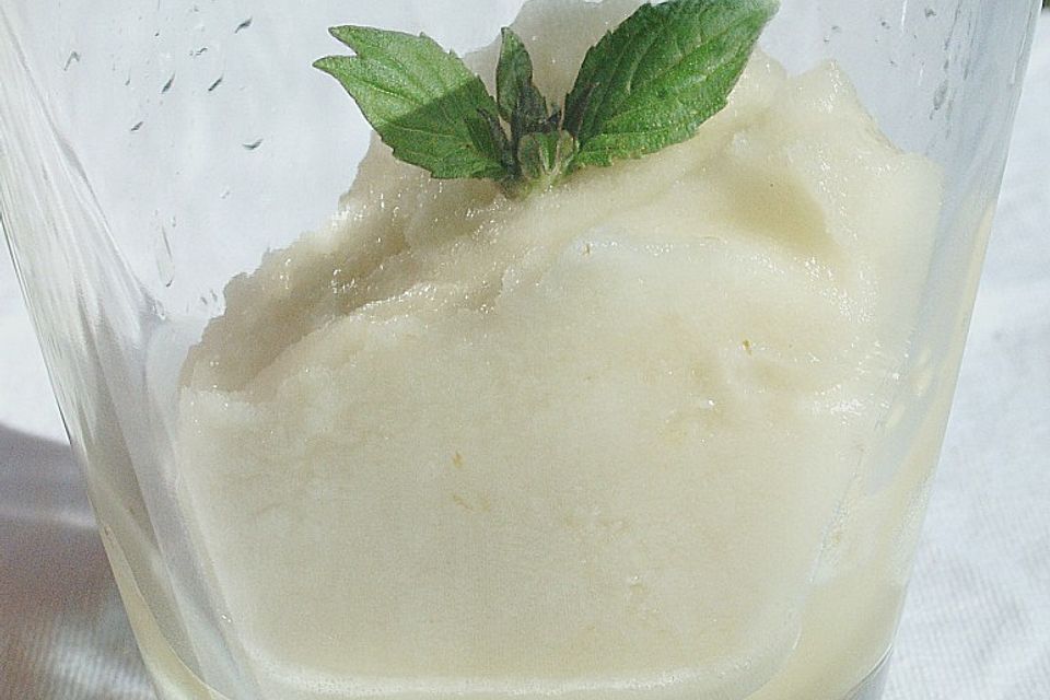 Fenchel - Anis - Limetten - Sorbet