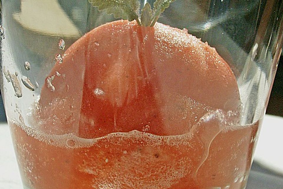 Zwischensorbet aus Wassermelone mit Zimtblüten und Langem Pfeffer