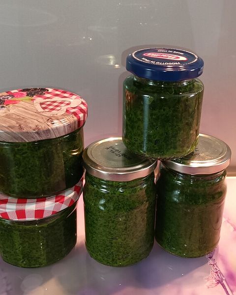 Bärlauch Rezepte - die besten Rezepte 2024 | Chefkoch Bärlauch Rezepte - die besten Rezepte 2024 | Chefkoch