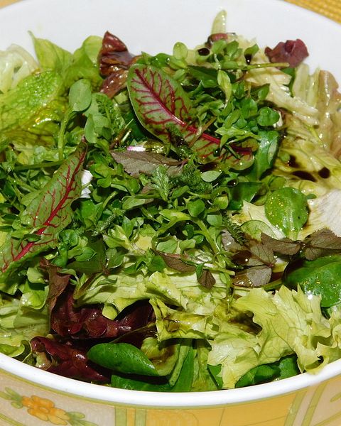 Wildkräutersalat Rezepte | Chefkoch Wildkräutersalat Rezepte | Chefkoch