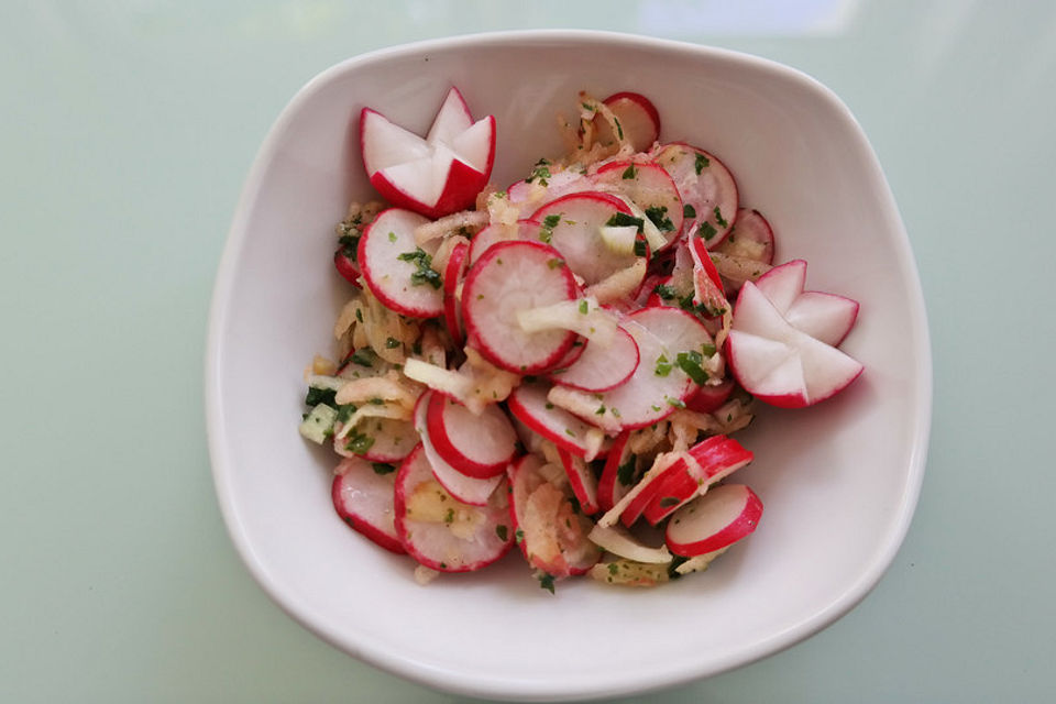Radieschensalat mit Zwiebeln und Apfel Radieschensalat mit Zwiebeln und Apfel