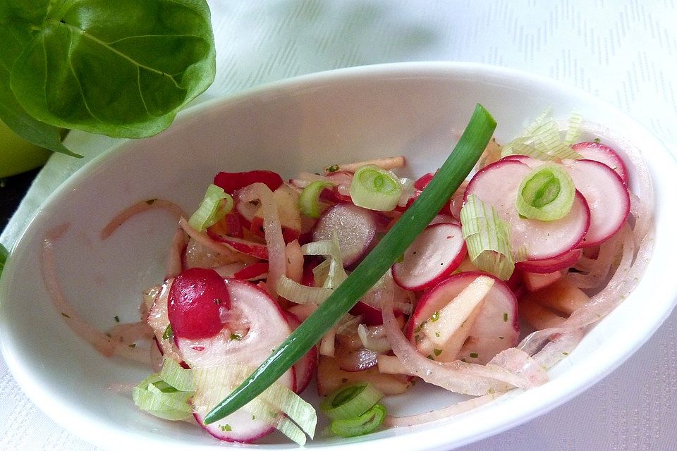 Radieschensalat mit Zwiebeln und Apfel Radieschensalat mit Zwiebeln und Apfel