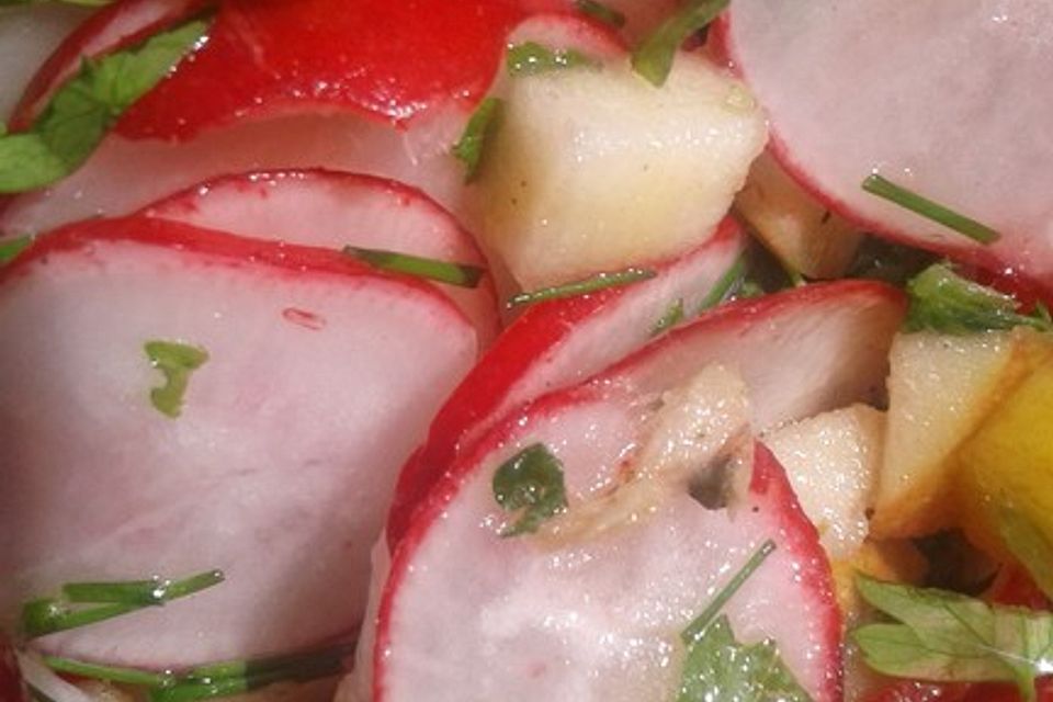 Radieschensalat mit Zwiebeln und Apfel Radieschensalat mit Zwiebeln und Apfel