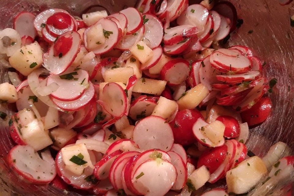 Radieschensalat mit Zwiebeln und Apfel Radieschensalat mit Zwiebeln und Apfel