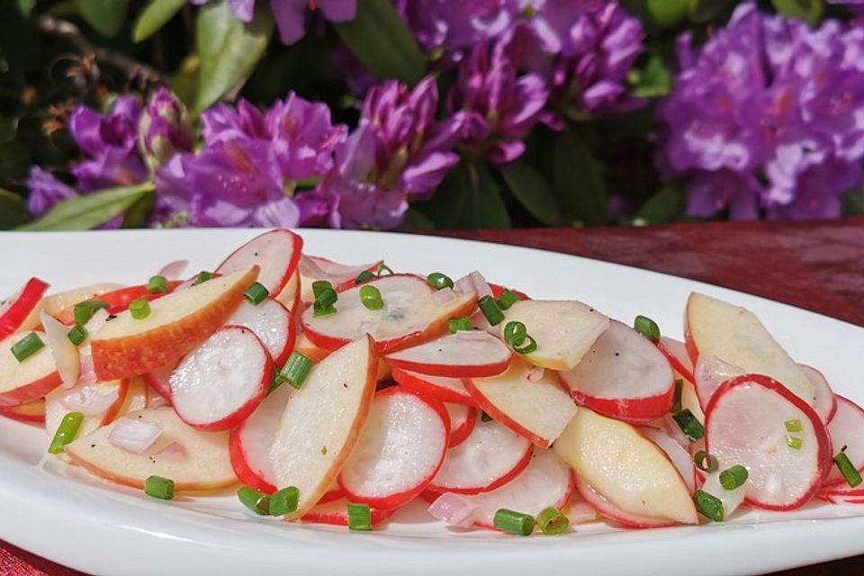 Radieschensalat mit Zwiebeln und Apfel