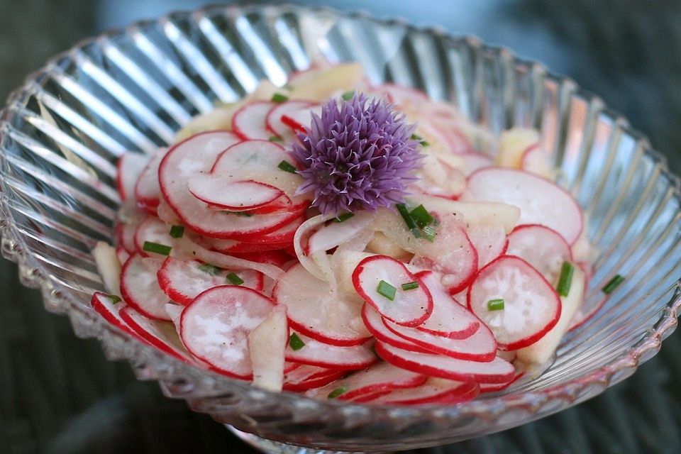 Radieschensalat mit Zwiebeln und Apfel Radieschensalat mit Zwiebeln und Apfel