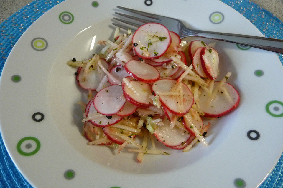 Radieschensalat mit Zwiebeln und Apfel Radieschensalat mit Zwiebeln und Apfel