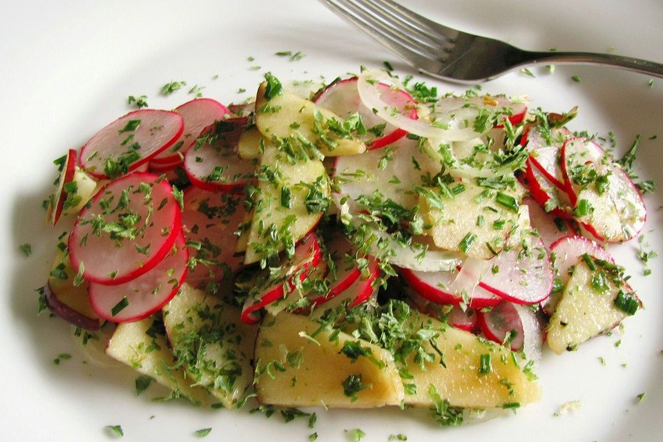 Radieschensalat mit Zwiebeln und Apfel Radieschensalat mit Zwiebeln und Apfel