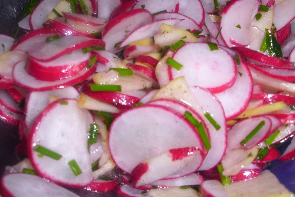 Radieschensalat mit Zwiebeln und Apfel Radieschensalat mit Zwiebeln und Apfel