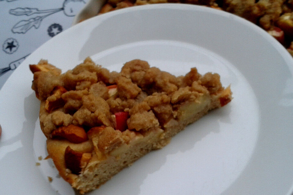 Apfelkuchen aus Quark - Öl - Teig Apfelkuchen aus Quark - Öl - Teig