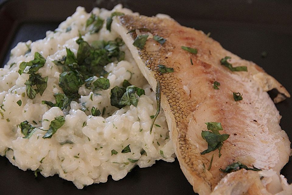 Kräuterrisotto mit gebratenem Zander und frittiertem Basilikum