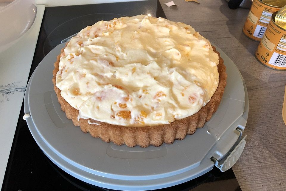 Schüttelkuchen