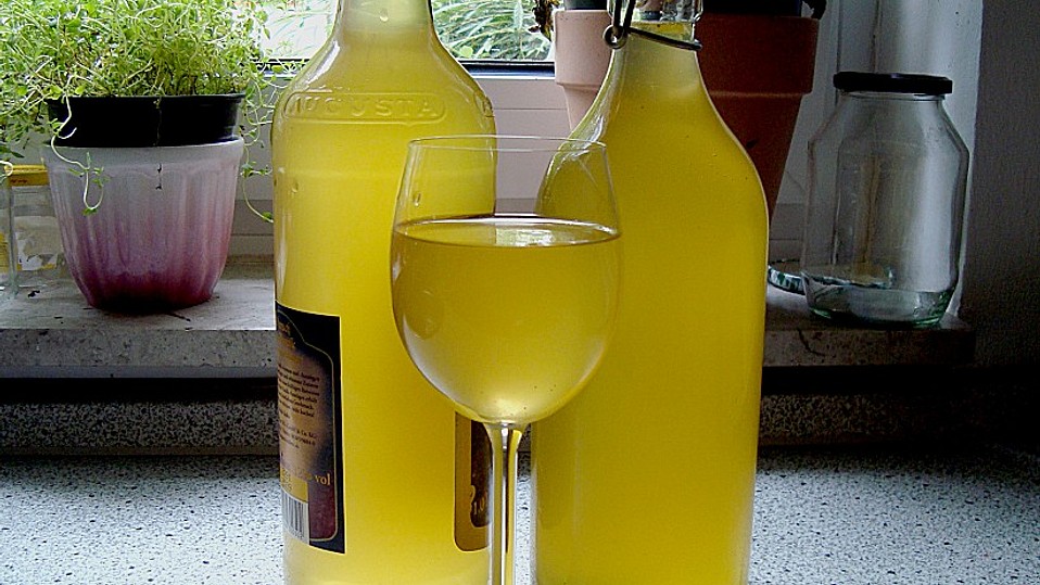 Orangenwein von bushcook Orangenwein von bushcook