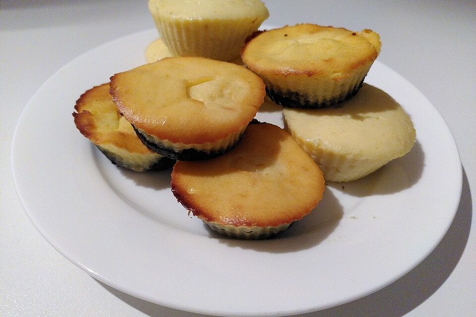 Mohn - Käsekuchen - Muffins