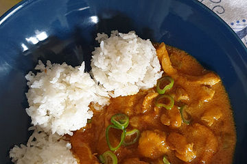 Hähnchen - Mango - Curry