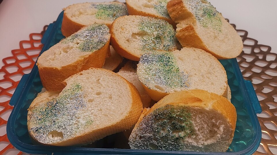 Schimmeliges Brot-image