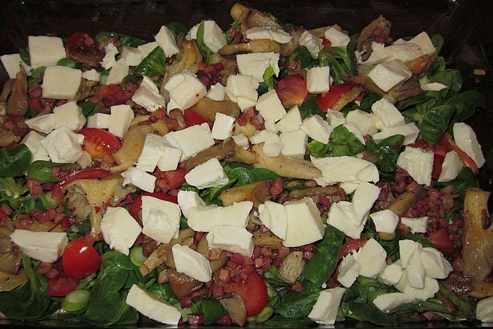 Lauwarmer Feldsalat mit Austernpilzen, Tomaten und Mozzarella