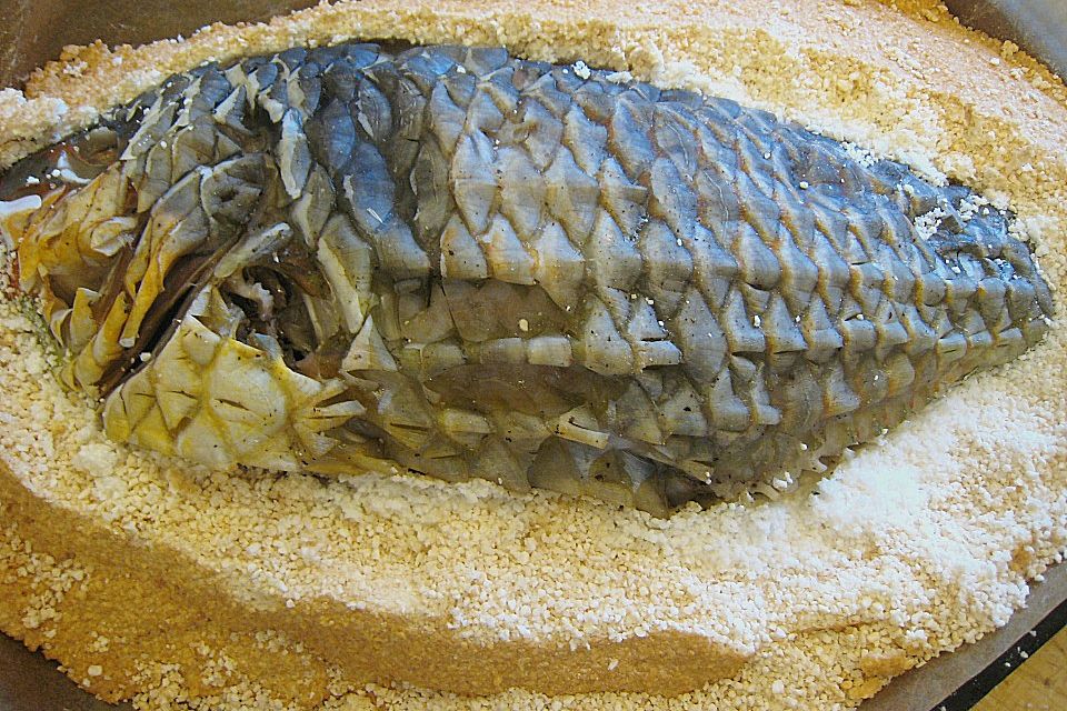 Papageienfisch aus dem Salzteig mit Gemüseperlen, rotem Camarguereis und einer Weißweinsauce