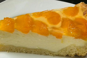 Mandarinen - Pudding - Kuchen
