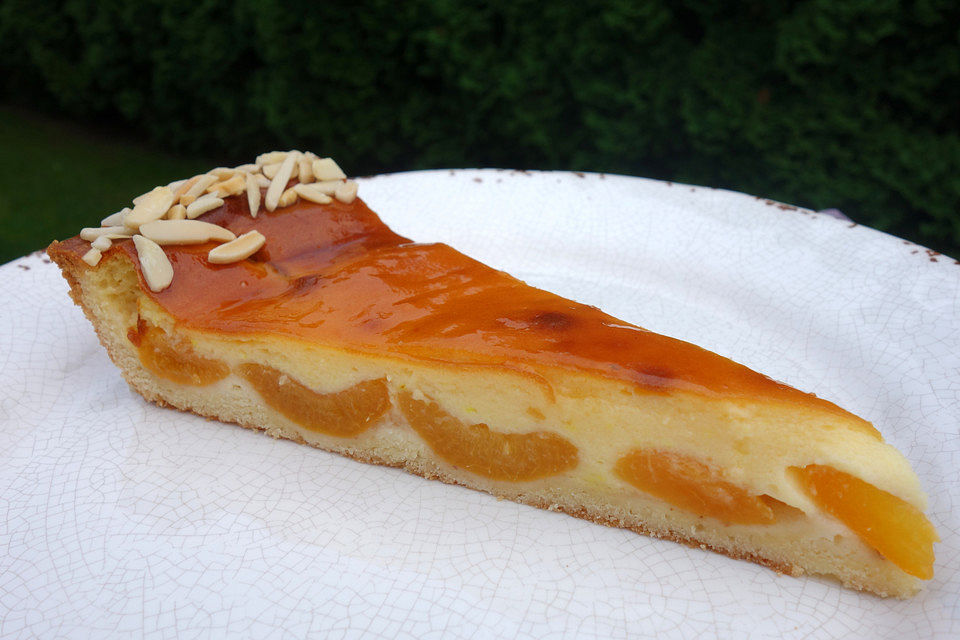 Mandarinen - Pudding - Kuchen