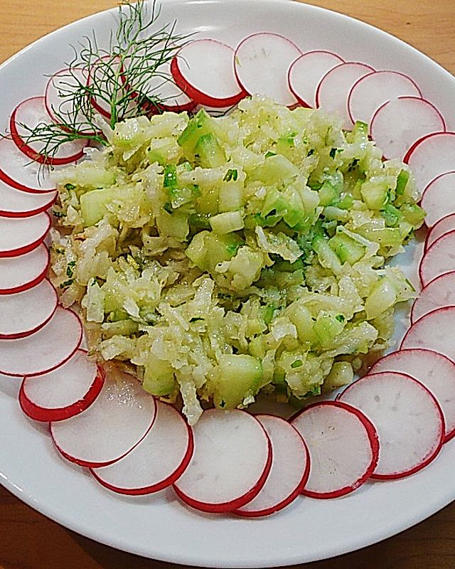 Fenchel - Gurken - Salat