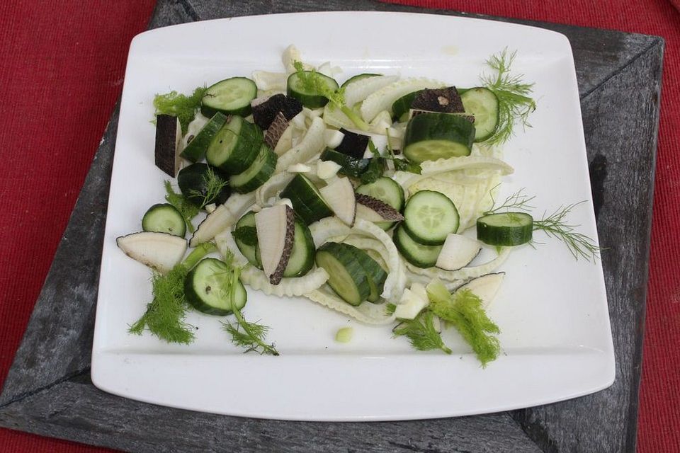 Fenchel - Gurken - Salat