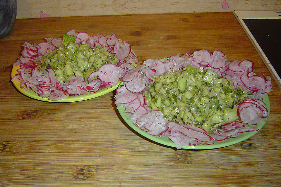 Fenchel - Gurken - Salat