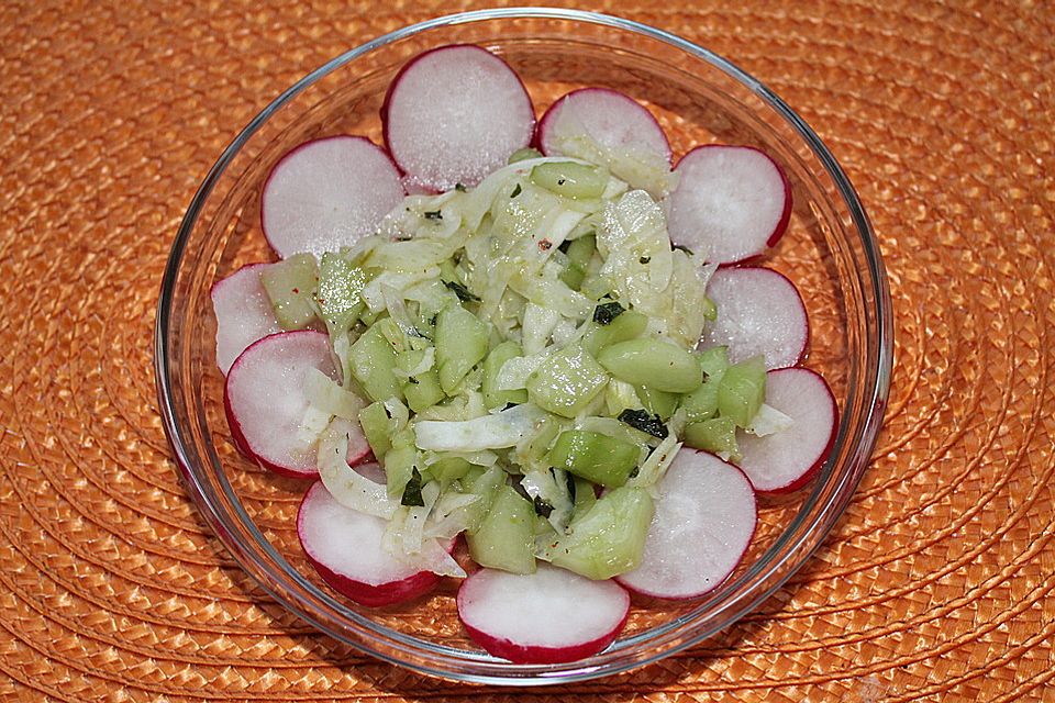 Fenchel - Gurken - Salat