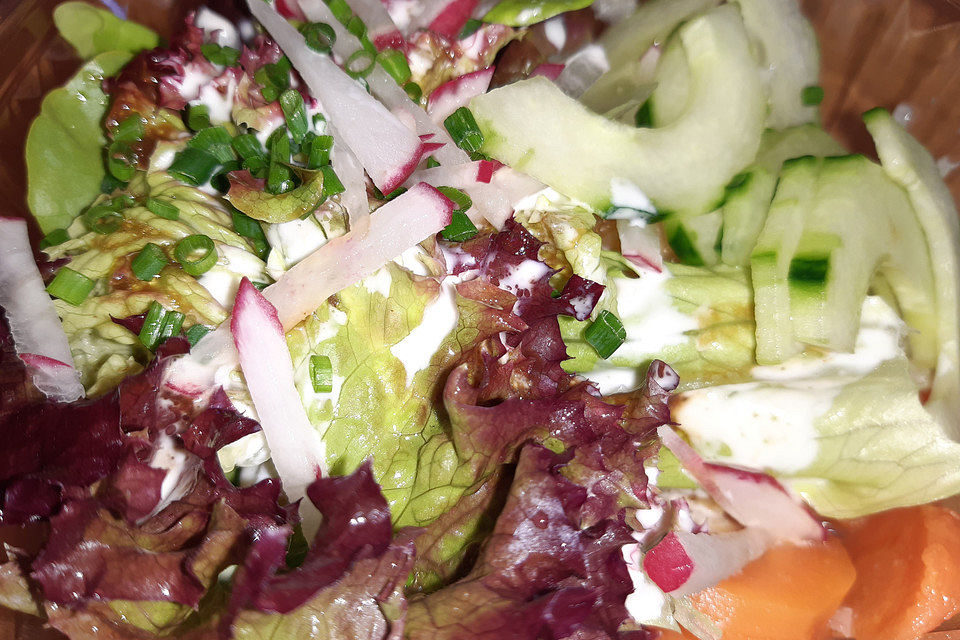 Salat mit Joghurtdressing
