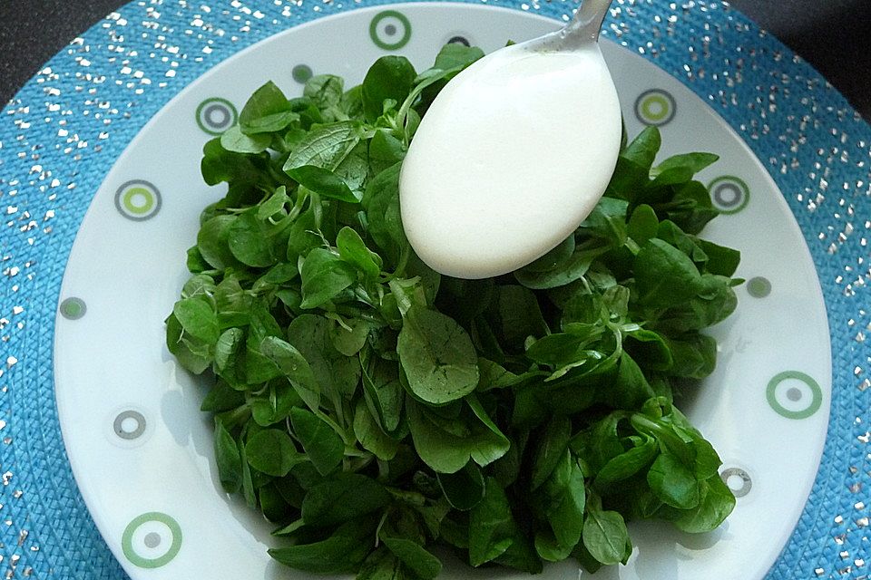 Salat mit Joghurtdressing