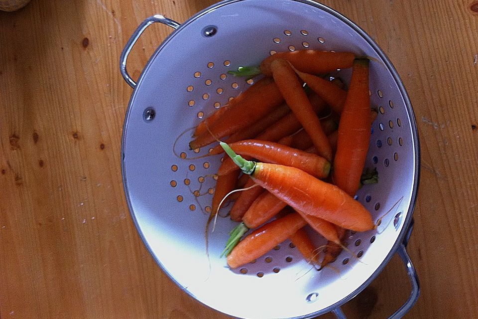 Knackiger Karottensalat mit gerösteten Sonnenblumenkernen