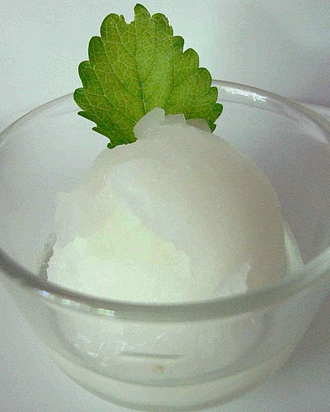 Zitronenmelisse Rezepte | Chefkoch