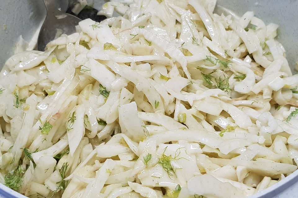 Fenchel - Salat