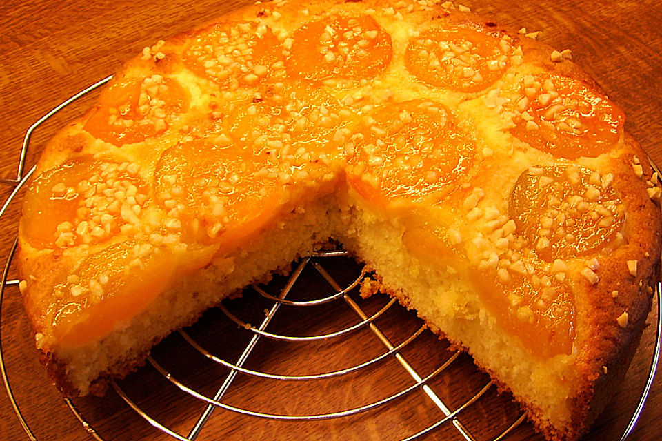 Aprikosenkuchen mit Nüssen