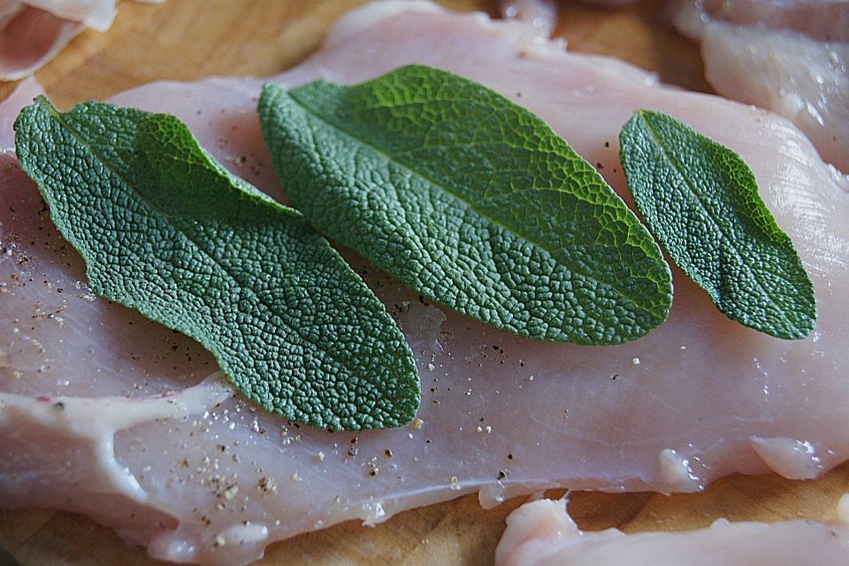 Hähnchen Saltimbocca Hähnchen Saltimbocca