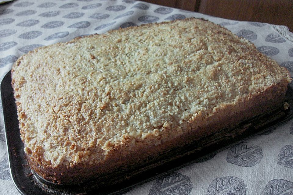 Kuchenkatzes übergossener Mandelkuchen