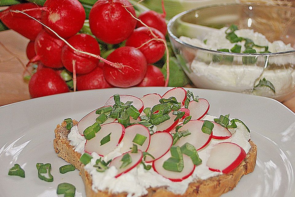 Frühlingsquark mit Lauchzwiebeln und Radieschen