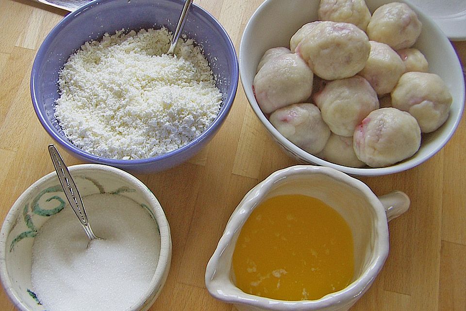 Zwetschgenknödel aus Quarkteig