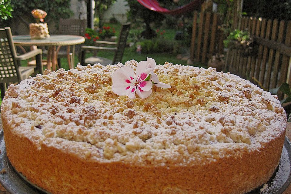 Kirsch-Himbeer-Kuchen mit Kokosstreuseln