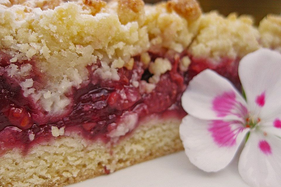 Kirsch-Himbeer-Kuchen mit Kokosstreuseln