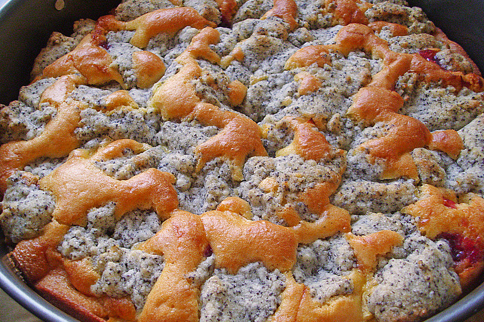 Apfel-Birnen-Kuchen mit Mohnstreusel