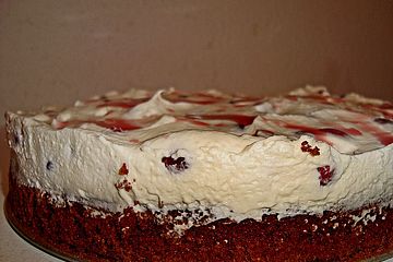 Cranberrie - Schoko - Kuchen
