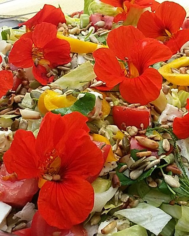 Bunter Salat mit Kapuzinerkresseblüten und Kernen