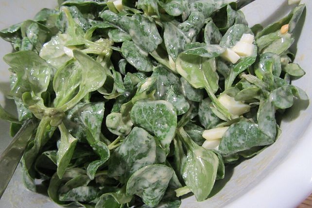 Feldsalat mit Zitrone - Sahne - Dressing von Staeubchen_19| Chefkoch