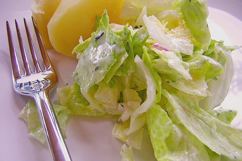 Salatdressing mit Schmand und Kräutern Salatdressing mit Schmand und Kräutern