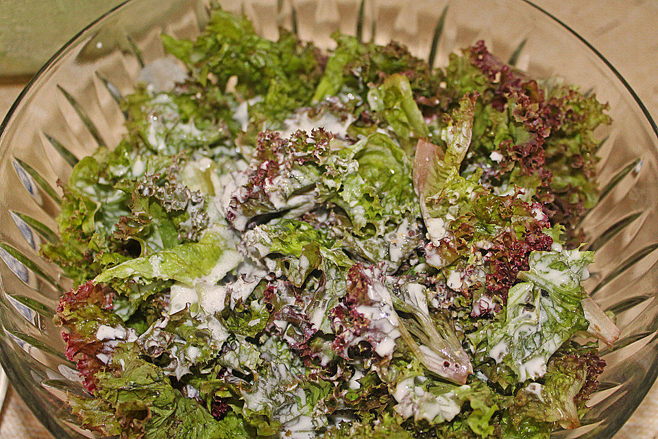 Salatdressing mit Schmand und Kräutern Salatdressing mit Schmand und Kräutern
