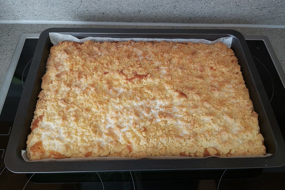 250er Thüringer Streuselkuchen