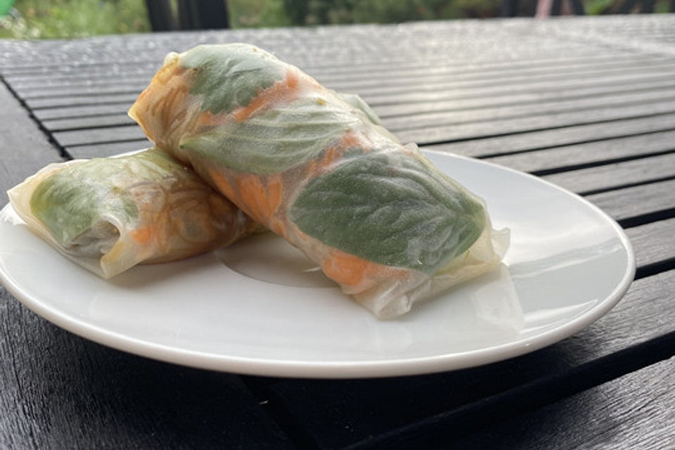 Vietnamesische Sommerrollen im Thai Style - Glücksrollen